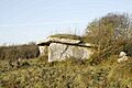 Clooneen wedge tomb