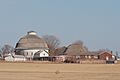 Dairy farm 4390