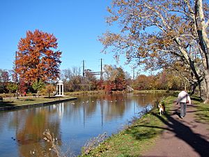 Delaware Canal w dog
