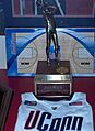 Diana Taurasi Naismith Award 2004