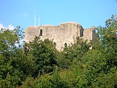 Dundonald Castle from the Old Bank woods