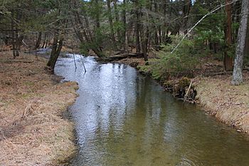 East Branch Raven Creek looking downstream from Pennsylvania Route 239 2.JPG