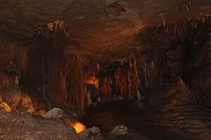 Fantastic Caverns