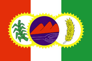 Flag of Porto Calvo