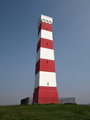 Gribbin Tower - geograph.org.uk - 1239648