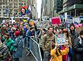 Hands Off NYC (55658)