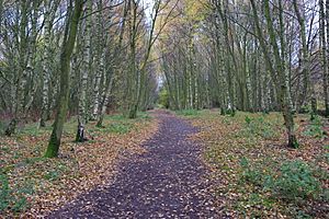 Havannah Nature Reserve (geograph 2150939)