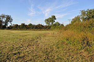 Hemingford Grey Meadow 2