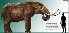 High res mastodon rendering
