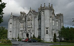 IMG KinnittyCastle0973