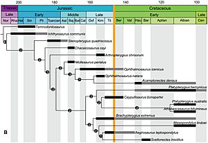 Ichthyosauria phylogeny