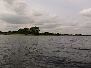 Inchbofin, Lough Ree - geograph.org.uk - 412925