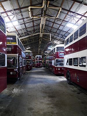 Inside The 'Edinburgh Shed', Scottish Vintage Bus Museum - geograph.org.uk - 3119233.jpg
