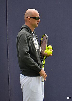 Ivan Ljubicic (18817388201)