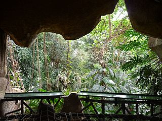 Jardin des plantes Paris Rocher2