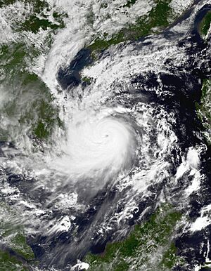 Kalmaegi 2025-11-06 0340Z