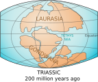 Laurasia-Gondwana