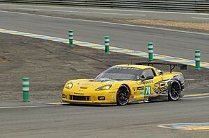 Le Mans 2013 (9347511710).jpg