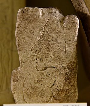 Limestone trial piece of a king, probably Akhenaten, and a smaller head of uncertain gender. From Amarna, Egypt. 18th Dynasty. The Petrie Museum of Egyptian Archaeology, London