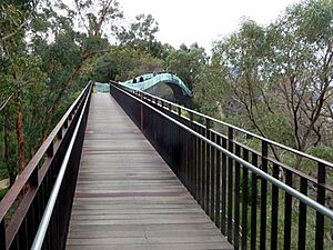 Lotterywest Federation Walkway (23377054084)