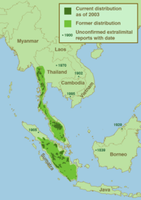Malayan Tapir Habitat 2003