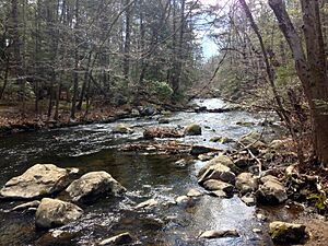 Mianus River Park - Mianus River from west river bank