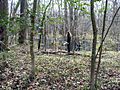 NPS-Congaree-Dead-River-Dike