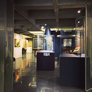 New Museum Los Gatos Gallery