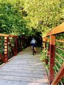 One of the footbridges on the Los Alamitos Creek Trail
