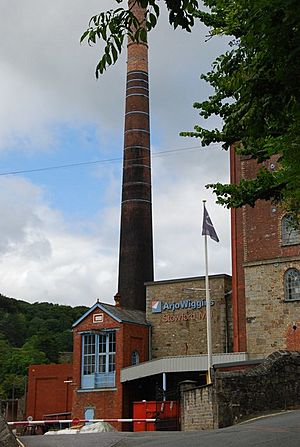 Paper Mill, Ivybridge
