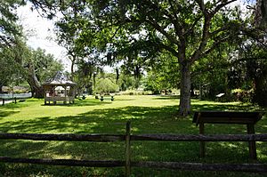 Park from north