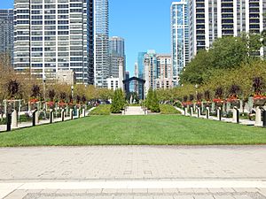 Perenial Garden Chicago.JPG