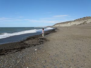 Playa Magagna-(March 2008)