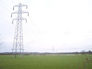 Power Lines over Ashleworth Ham - geograph.org.uk - 86416.jpg