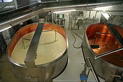 Production of cheese 1