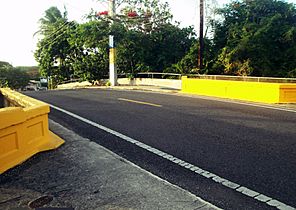 Puente del Chapey, Borinquen, Aguadilla, Puerto Rico 03