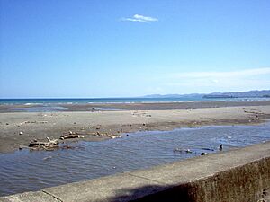 Puerto Armuelles y Punta Burica