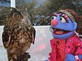 Puppet Bleeckie and an owl