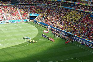 SWI ECU 15 06 2014 BSB 9410