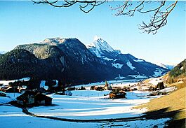 Saanen Winter.jpg