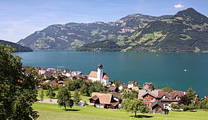 Schweiz - Vierwaldstättersee - Beckenried 0236