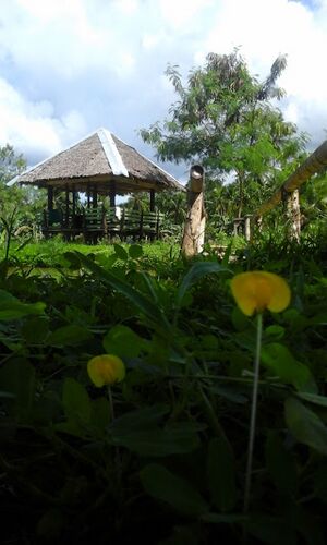 Shack at Gerona Farm