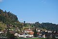 Signau 056