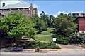 Snake Alley overview - Burlington Iowa