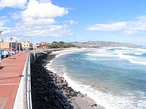 St Clair Beach, Dunedin, New Zealand
