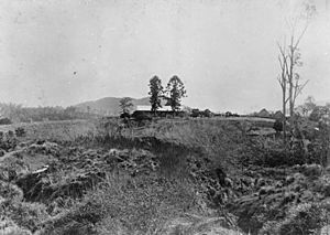 StateLibQld 1 90280 View of Kenilworth Station on the Mary River, Kenilworth, 1907
