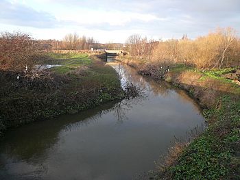 Staveley river rother 631556 c80561d2.jpg