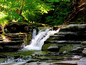 Stony Brook State Park waterfalls.jpg