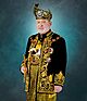 Sultan Ibrahim, 2024 official portrait.jpg