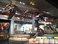 T-rex exhibit Philadelphia